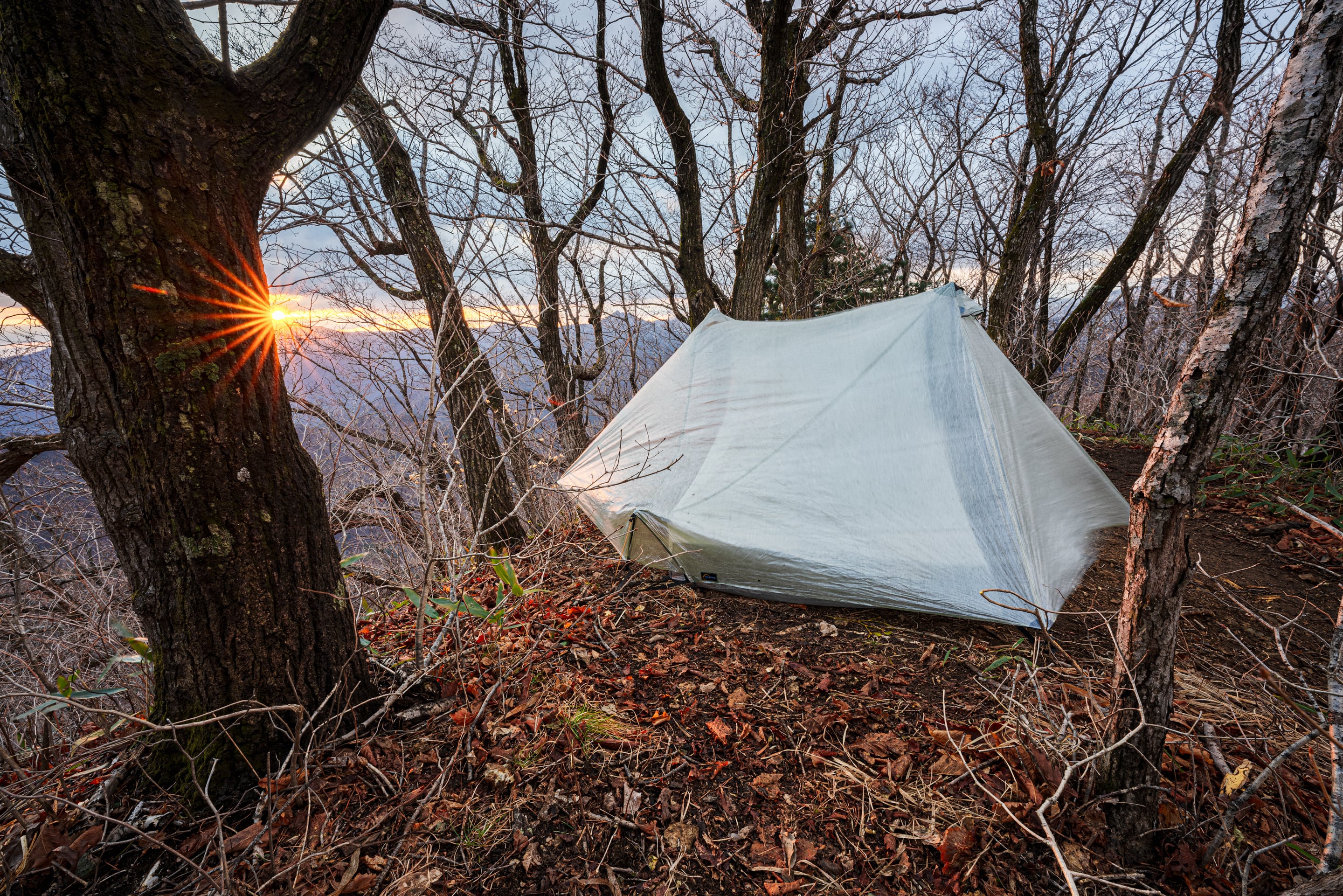 tarp tent pitched in woods