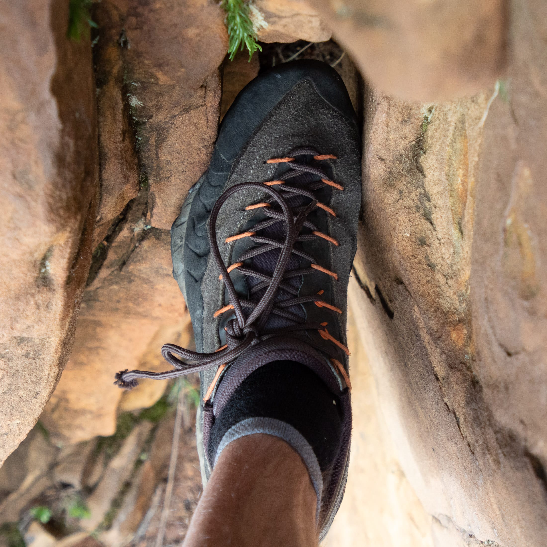 closeup of approach shoe from above