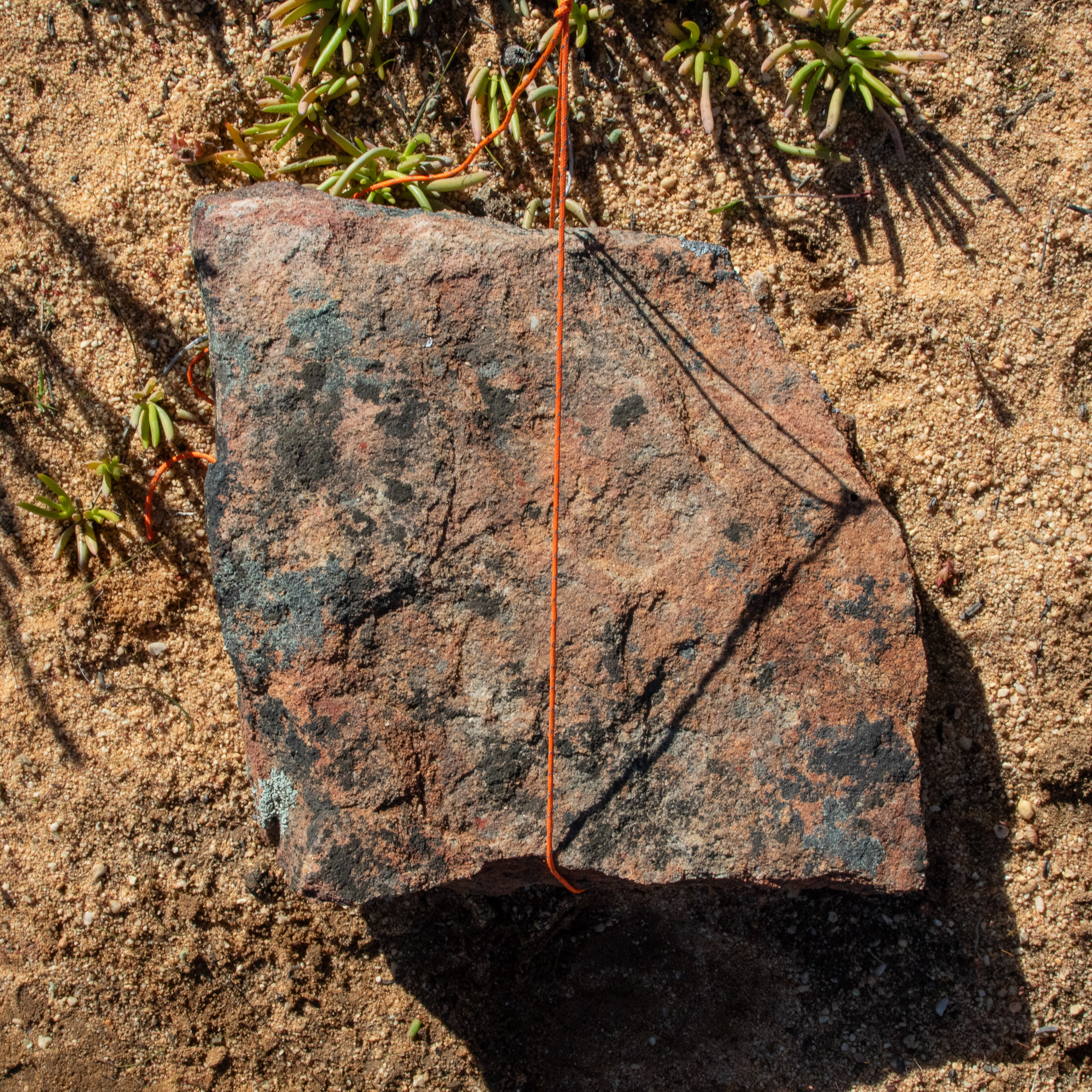 single large rock used as tarp anchor