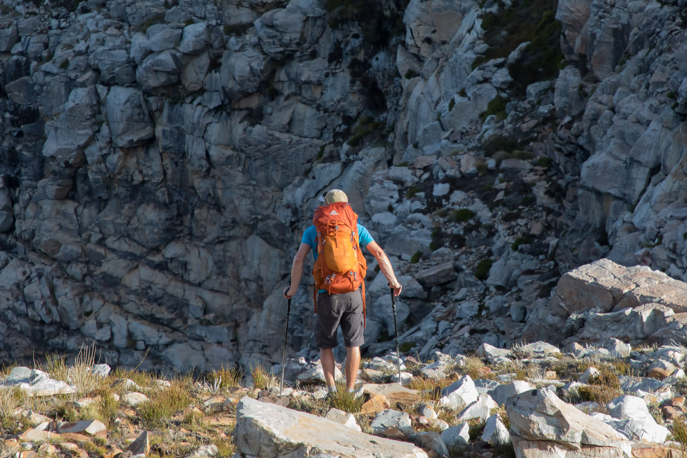 hiker with trekking poles