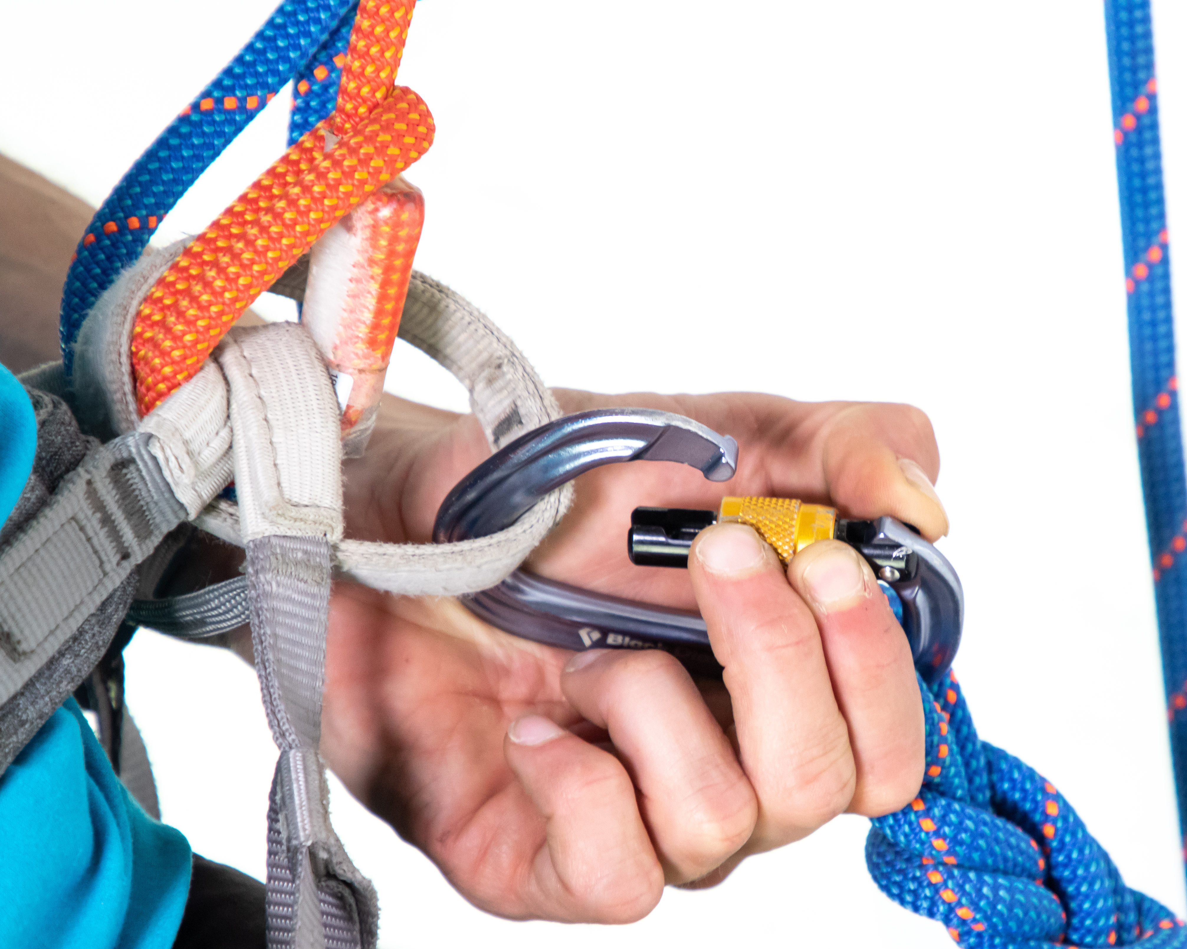 knot clipped to belay loop