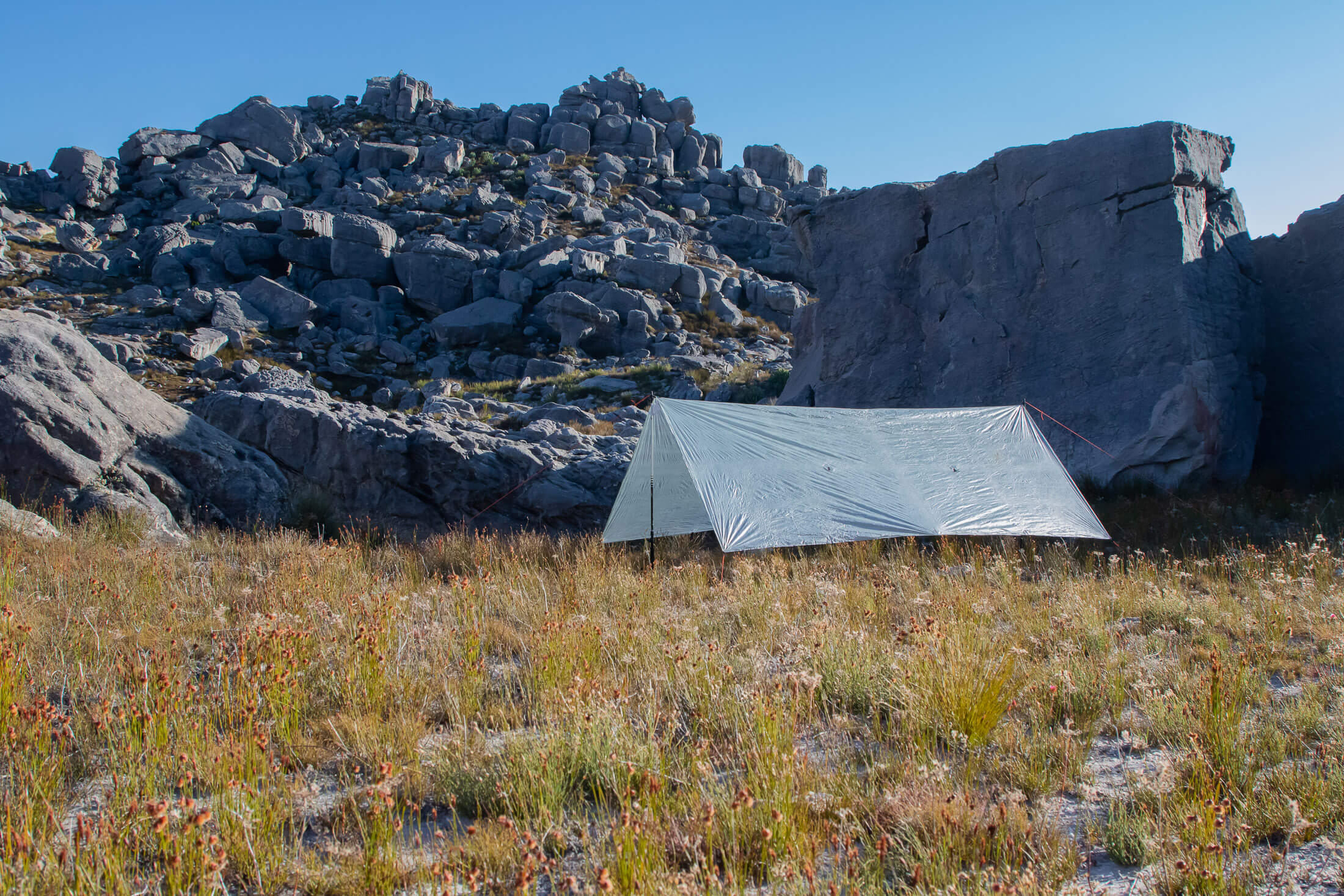 tarp set up in alpine meadow