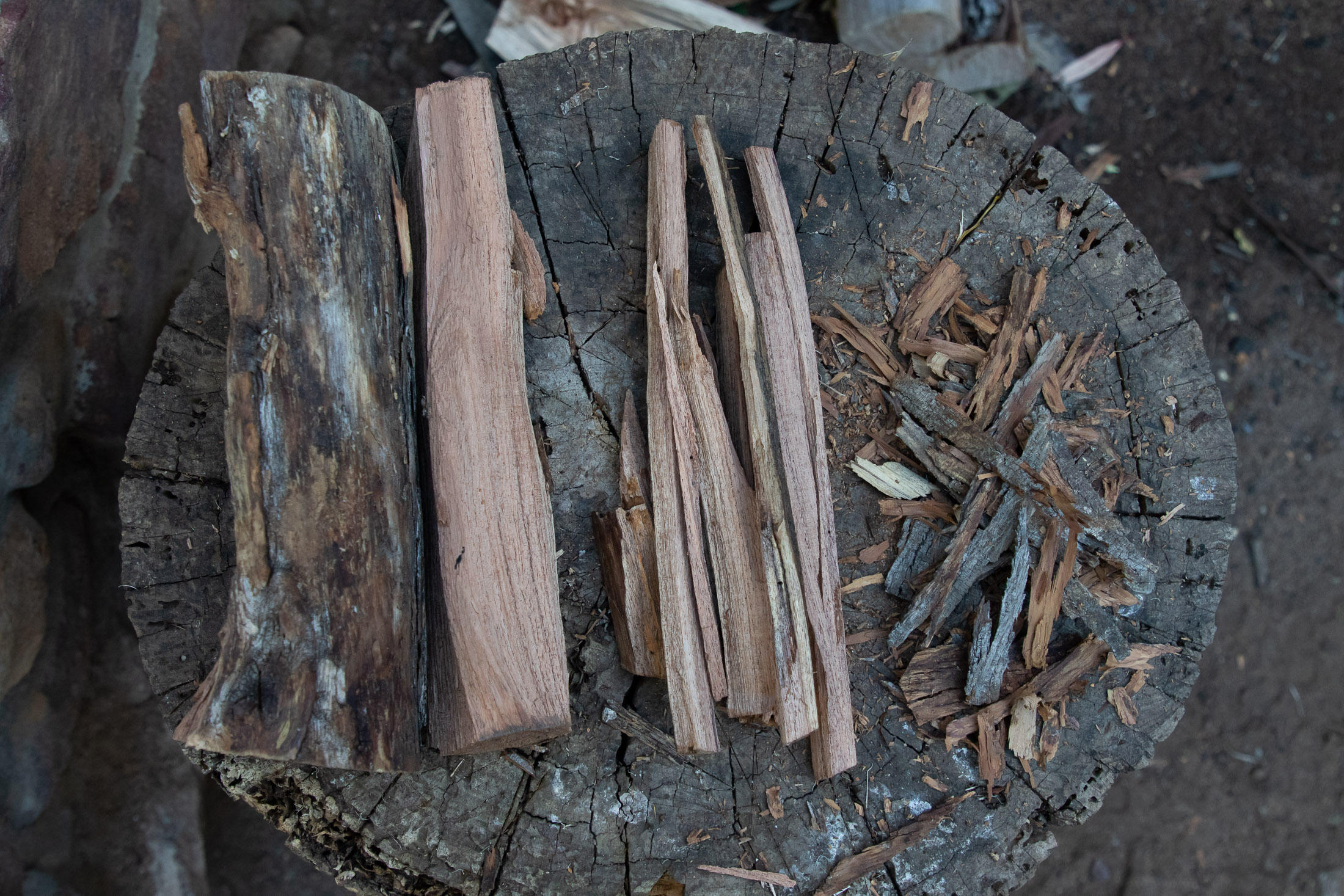 Is Poplar Wood Good for Burning  : Best Practices and Safety Tips