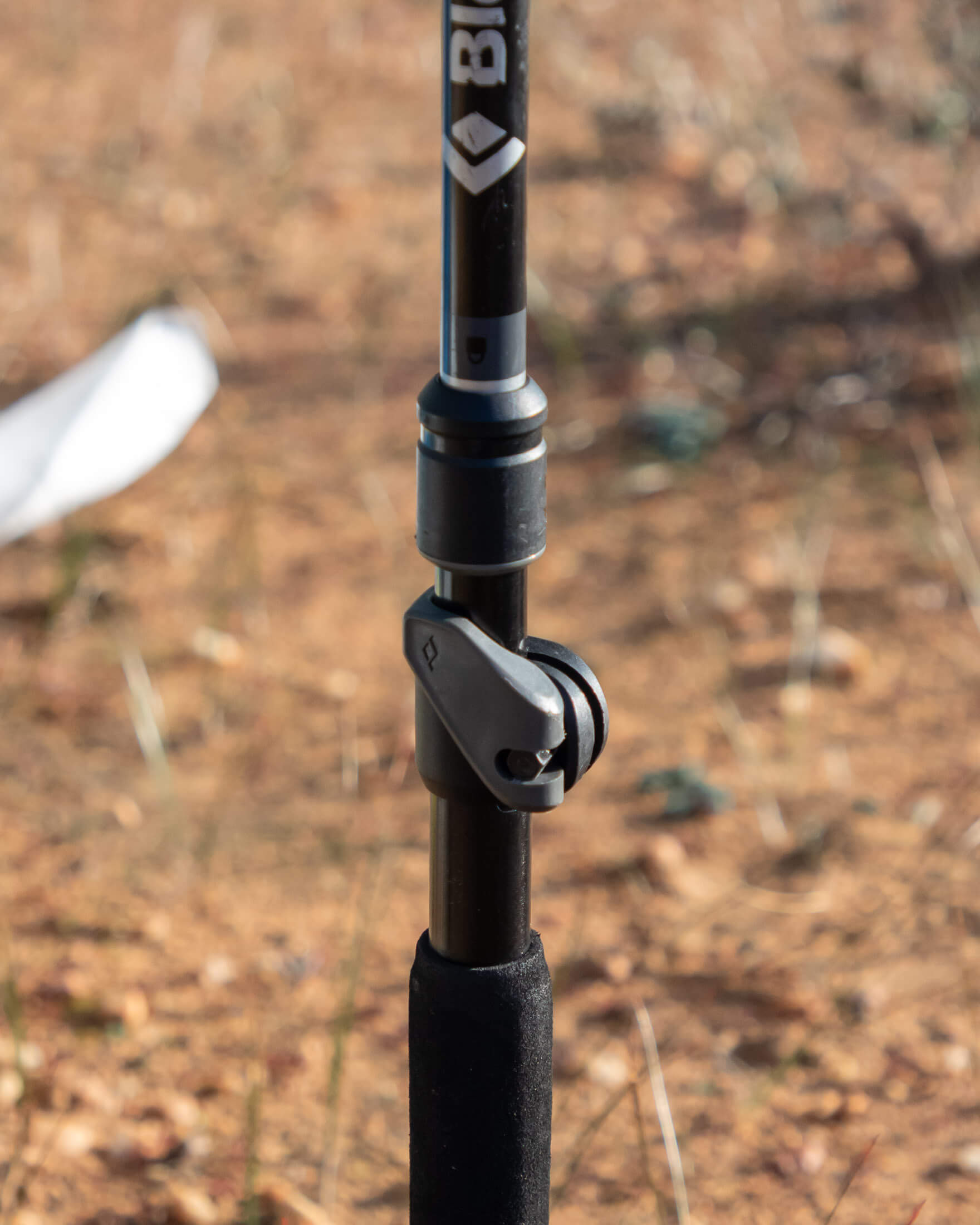 trekking pole used as tarp support