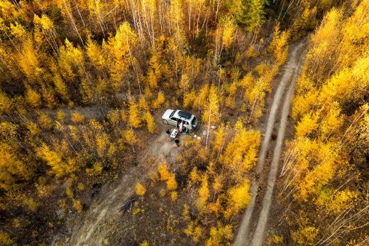 SUV parked in forest